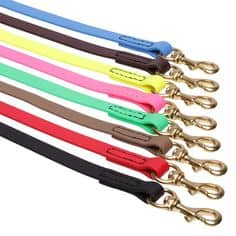 Biothane Dog Leash