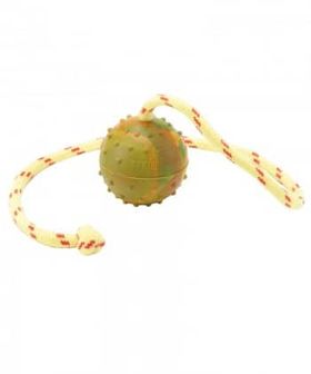 Fetch Hollow Rubber Dog Training Ball on Rope 2.3"