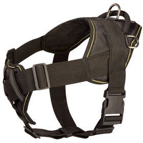 Nylon Dog Harness